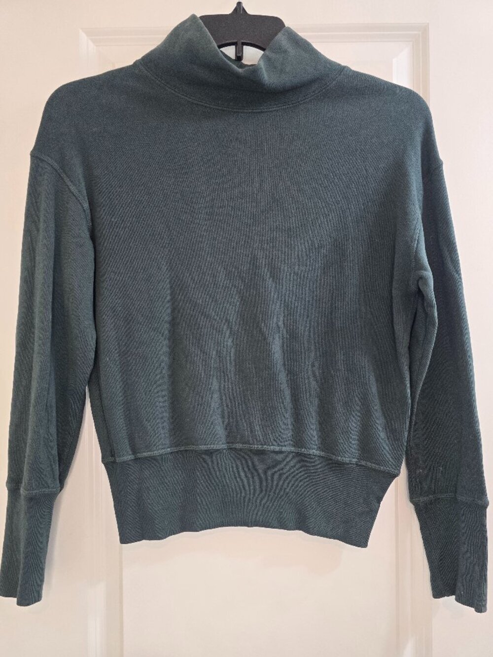 Madewell Rivet & Thread LA Turtleneck Sweatshirt: Garment-Dyed - Steel Green - Picture 3 of 7